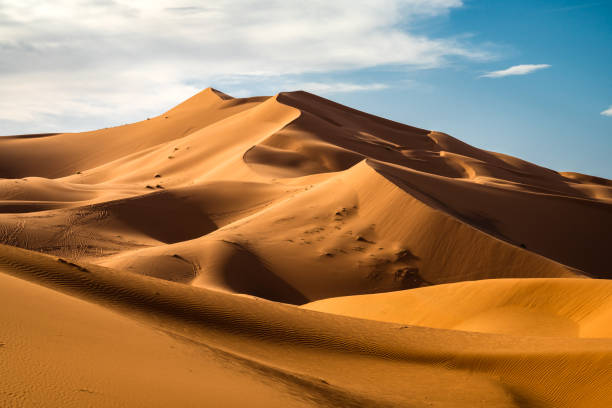 3 Days Tour from Marrakech to Merzouga, Camel Trekking and Desert Experience